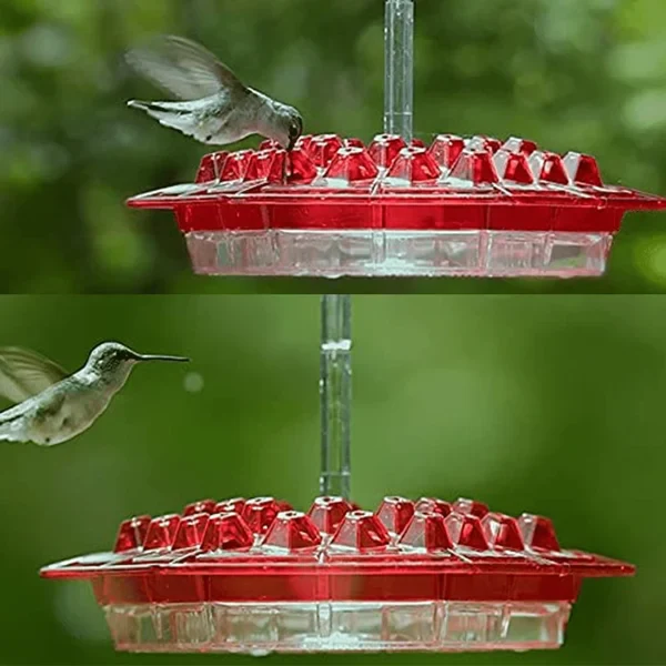 Ribili Sweety Hummingbird Feeder - Image 6